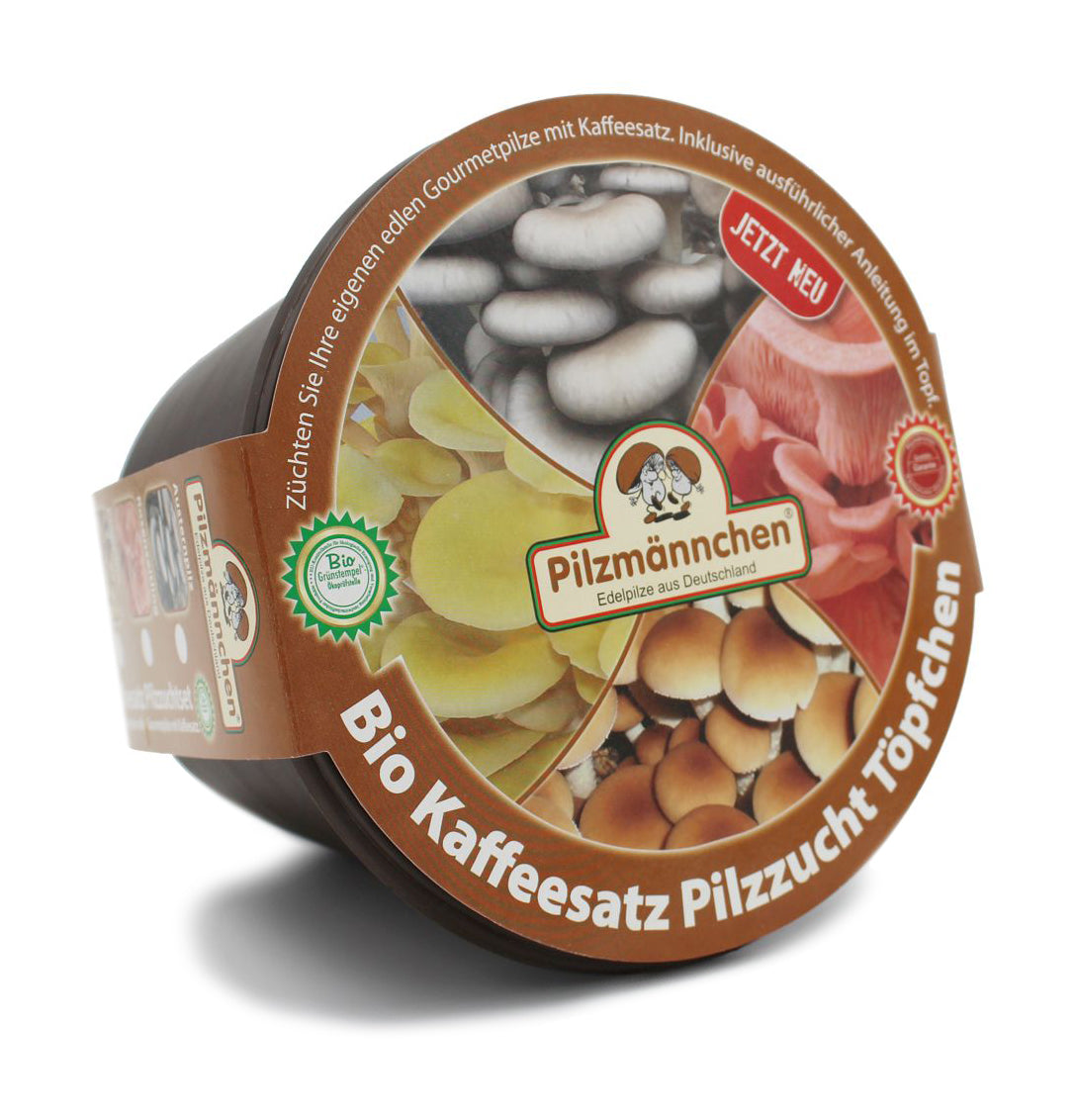 Artikelbild 2 von "BIO Pilzzuchtset Kaffeesatz Pilzzuchttöpfchen Limonenseitling"