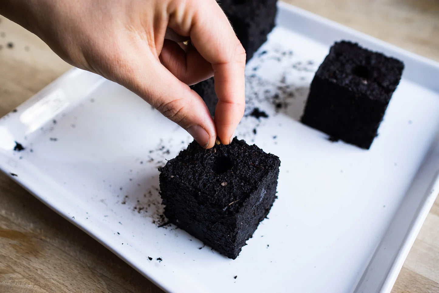 Artikelbild 8 von "Fryd Erdballenpressen-Set" aus der Kategorie Erdtopfpressen