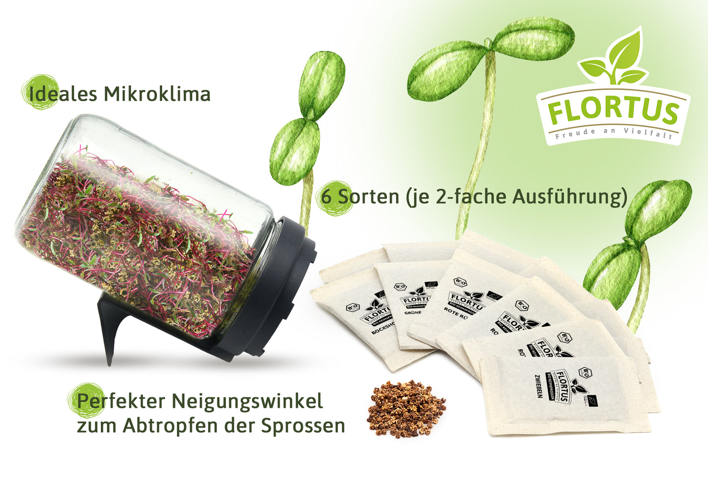 Artikelbild 3 von "BIO Keimsprossen Anzuchtset - Für Sprossenliebhaber (6 Sorten)"