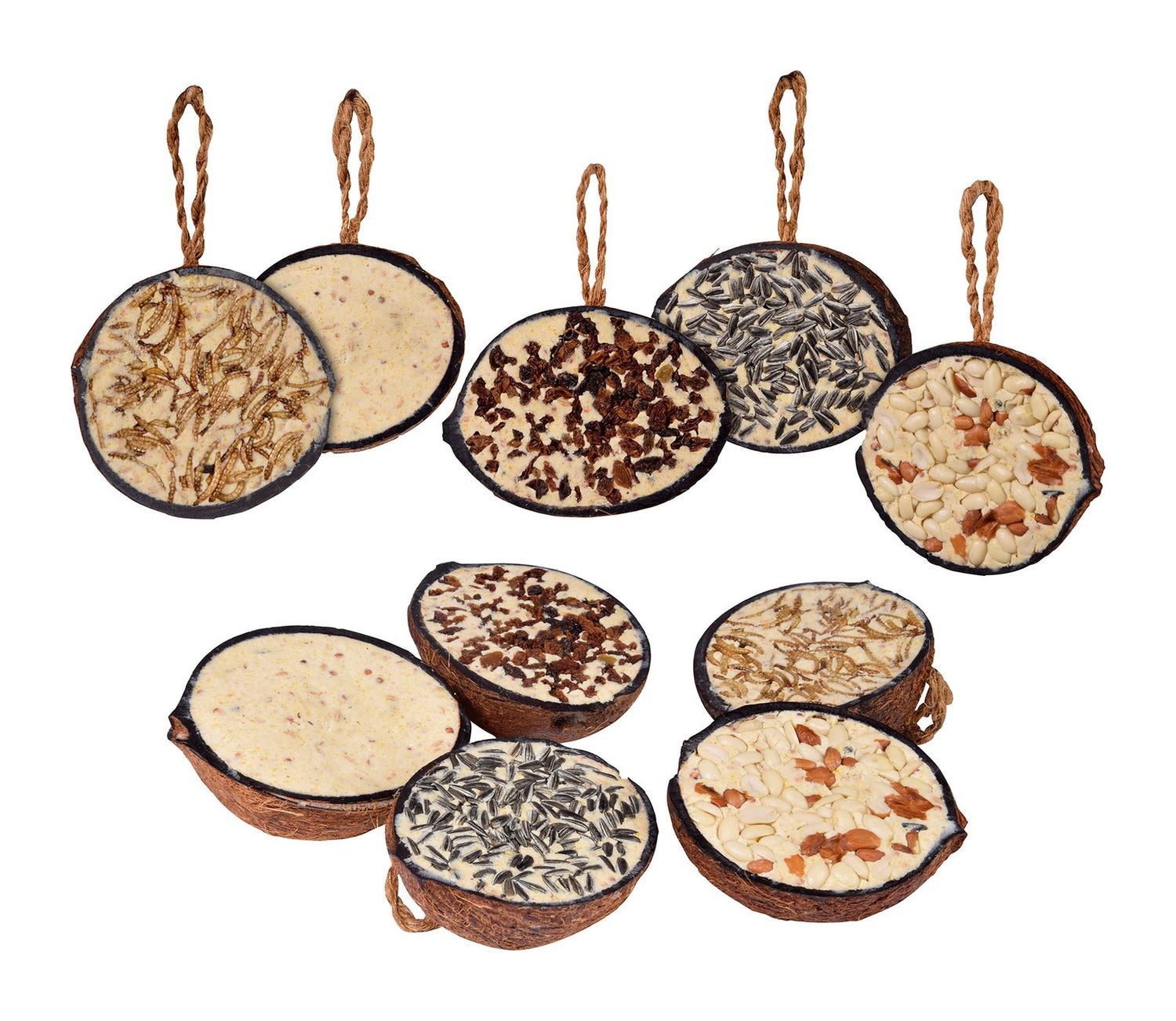 Artikelbild 1 von "Kokosnüsse Variationen (10 Stück)" aus der Kategorie Vogelzubehör & Vogelbedarf