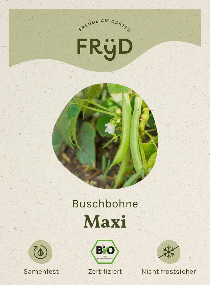 Artikelbild 1 von "Fryd BIO Buschbohne Maxi" aus der Kategorie Buschbohnensamen