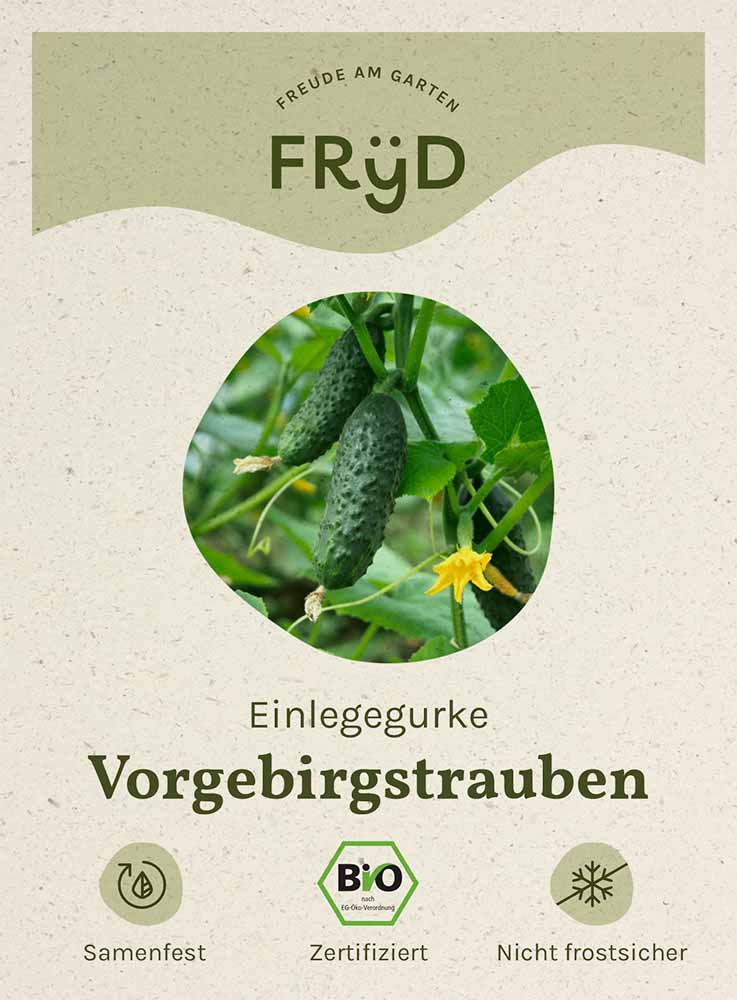 Artikelbild 1 von "Fryd BIO Einlegegurke Vorgebirgstrauben" aus der Kategorie Einlegegurkensamen