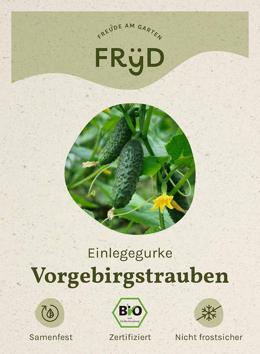 Artikelbild 1 von "Fryd BIO Einlegegurke Vorgebirgstrauben" aus der Kategorie Einlegegurkensamen