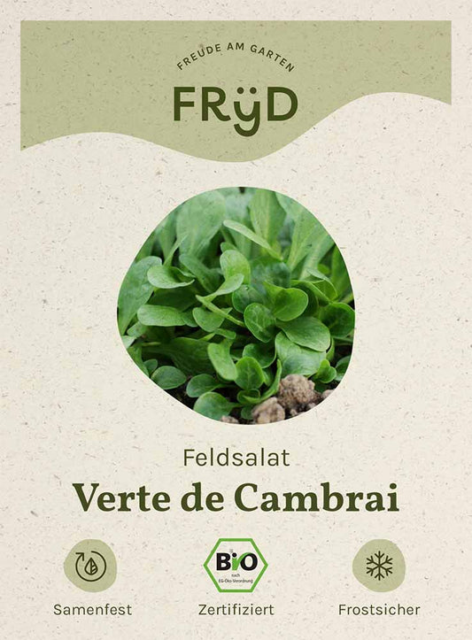 Artikelbild 1 von "Fryd BIO Feldsalat Verte de Cambrai" aus der Kategorie Feldsalatsamen