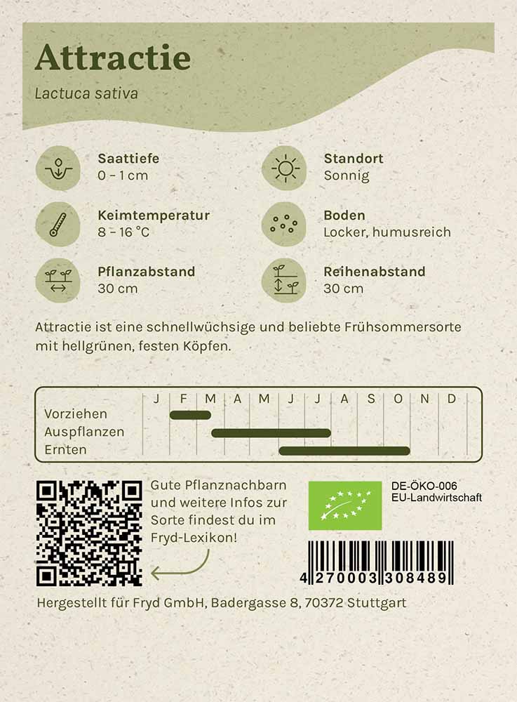 Artikelbild 2 von "Fryd BIO Kopfsalat Attractie" aus der Kategorie Kopfsalatsamen