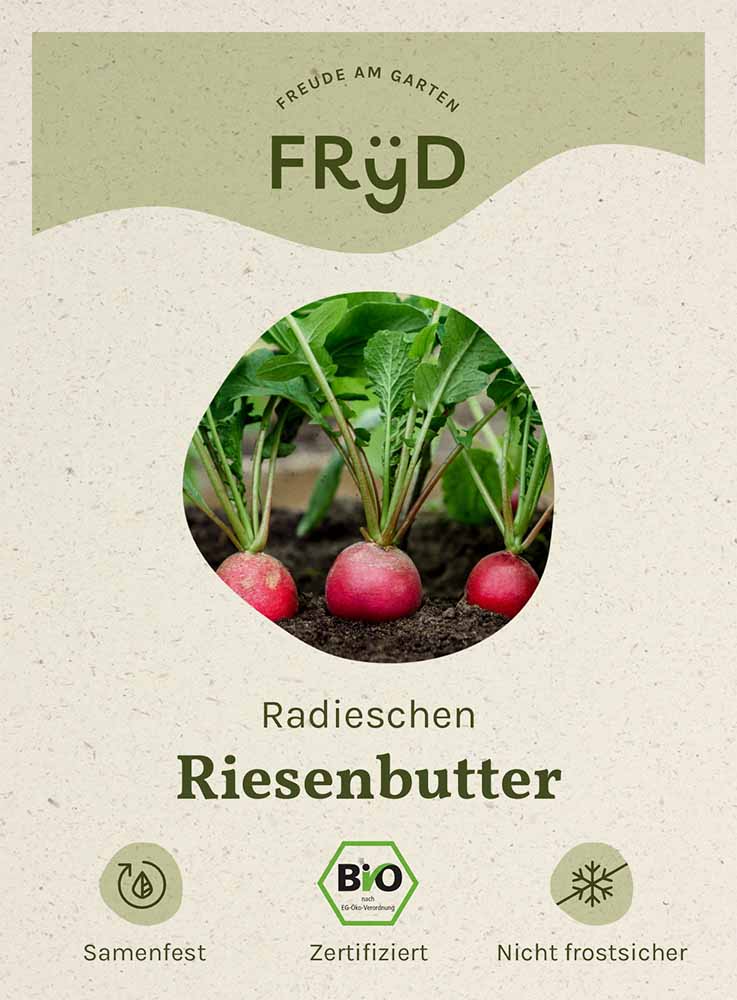 Artikelbild 1 von "Fryd BIO Radieschen Riesenbutter" aus der Kategorie Radieschensamen