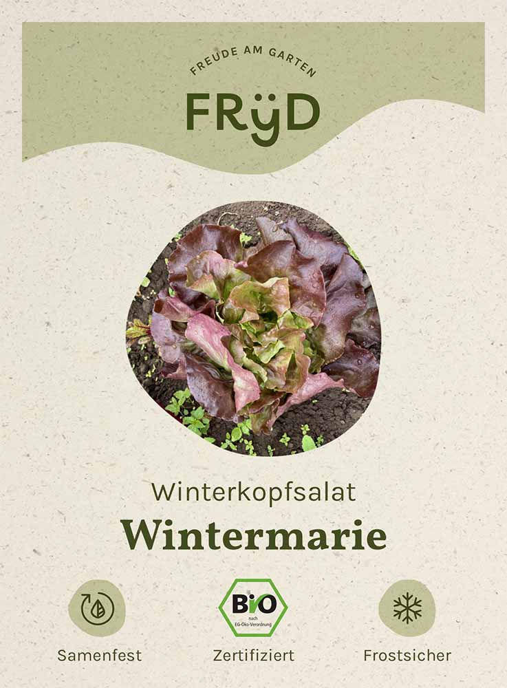 Artikelbild 1 von "Fryd BIO Winterkopfsalat Wintermarie" aus der Kategorie Kopfsalatsamen