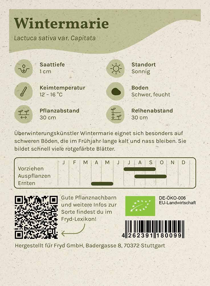 Artikelbild 2 von "Fryd BIO Winterkopfsalat Wintermarie" aus der Kategorie Kopfsalatsamen