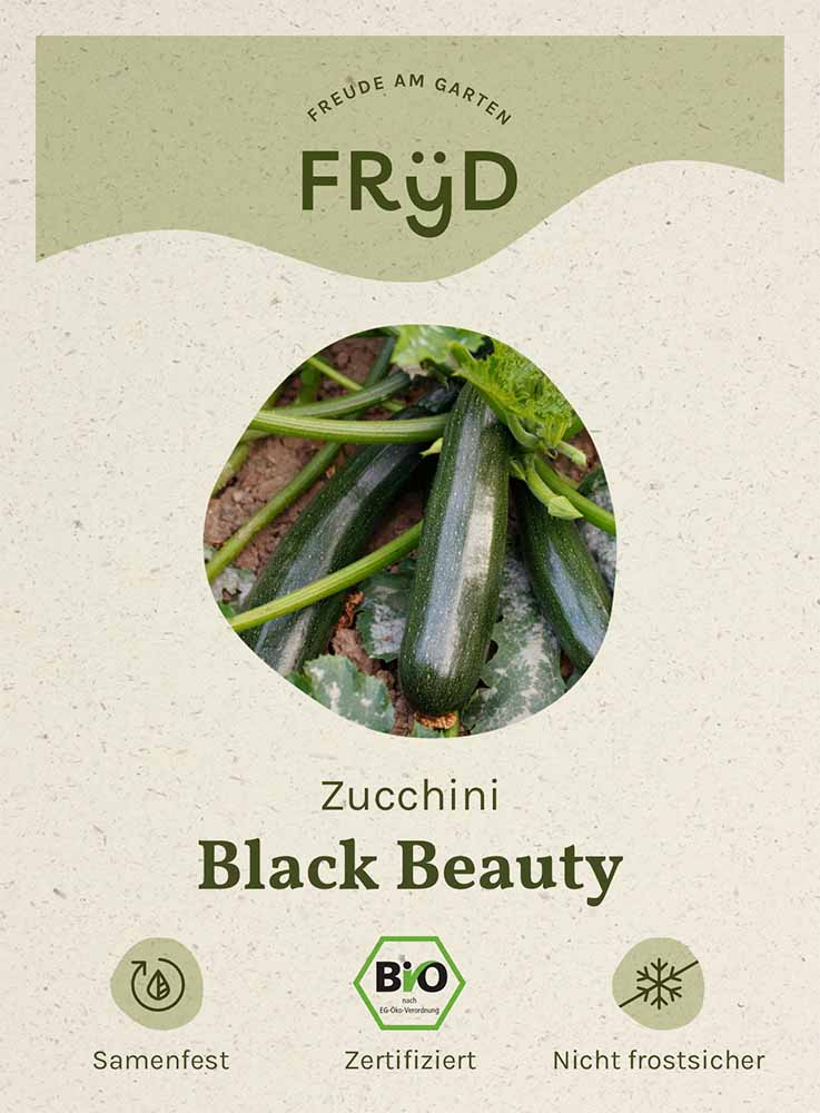 Artikelbild 1 von "Fryd BIO Zucchini Black Beauty" aus der Kategorie Zucchinisamen