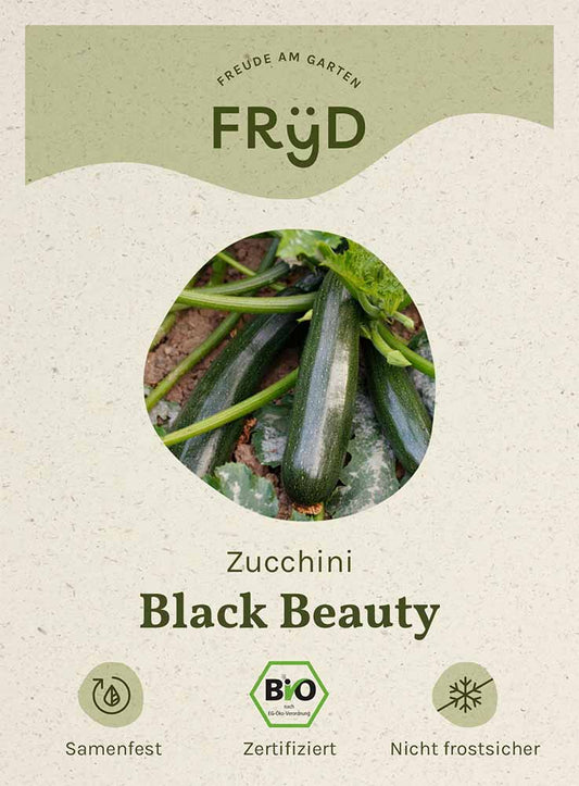 Artikelbild 1 von "Fryd BIO Zucchini Black Beauty" aus der Kategorie Zucchinisamen