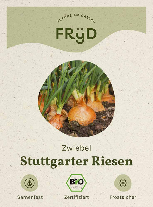 Artikelbild 1 von "Fryd BIO Zwiebel Stuttgarter Riesen" aus der Kategorie Zwiebelsamen