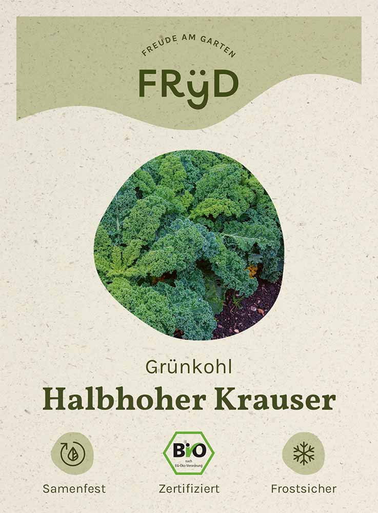 Artikelbild 1 von "Fryd BIO Grünkohl Halbhoher Krauser" aus der Kategorie Grünkohlsamen