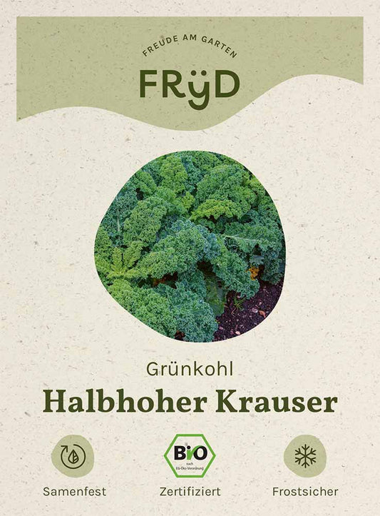 Artikelbild 1 von "Fryd BIO Grünkohl Halbhoher Krauser" aus der Kategorie Grünkohlsamen