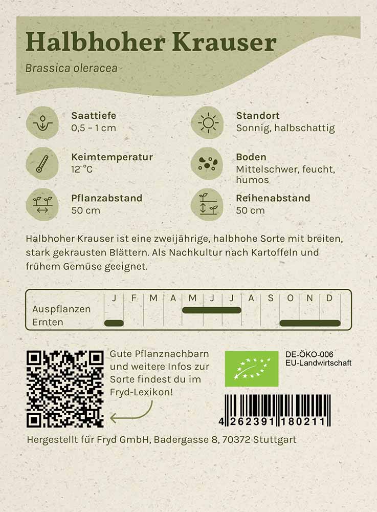 Artikelbild 2 von "Fryd BIO Grünkohl Halbhoher Krauser" aus der Kategorie Grünkohlsamen