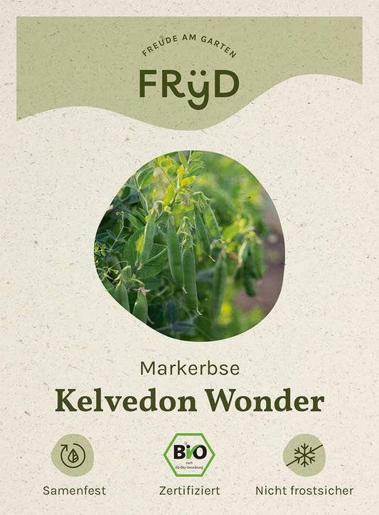Artikelbild 1 von "Fryd BIO Markerbse Kelvedon Wonder" aus der Kategorie Markerbsensamen