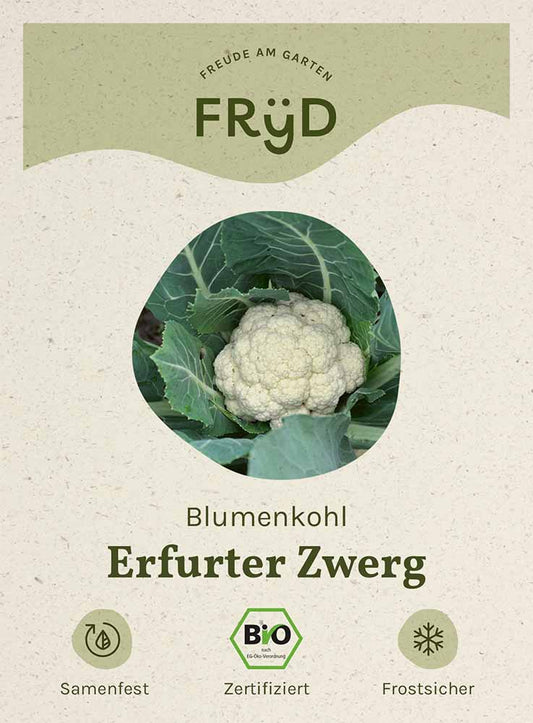 Artikelbild 1 von "Fryd BIO Blumenkohl Erfurter Zwerg" aus der Kategorie Blumenkohlsamen