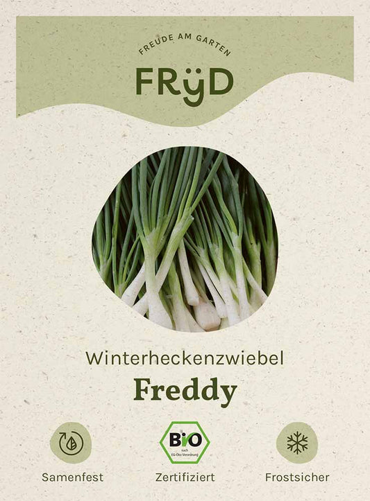 Artikelbild 1 von "Fryd BIO Winterheckenzwiebel Freddy" aus der Kategorie Lauchsamen