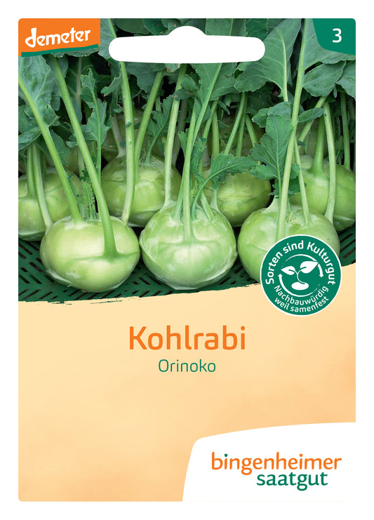 Artikelbild 1 von "BIO Kohlrabi Orinoko" aus der Kategorie Kohlrabisamen