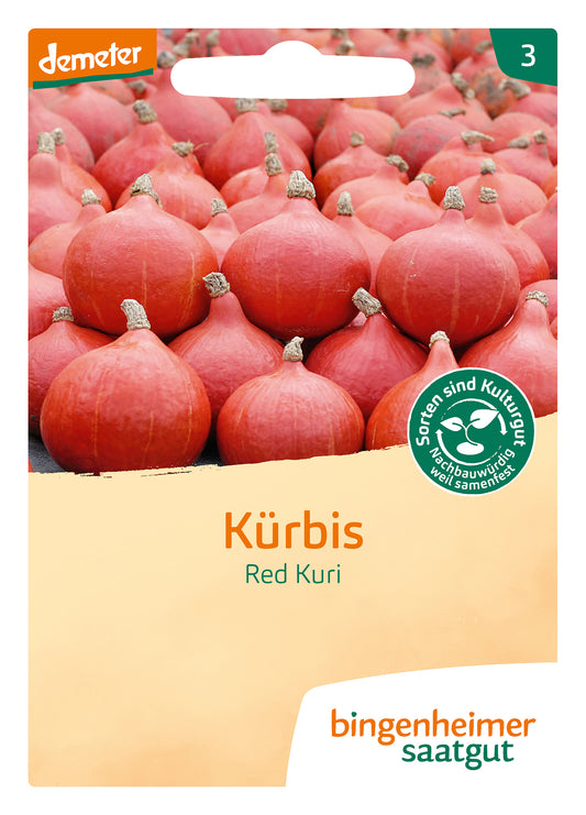 Artikelbild 1 von "BIO Kürbis Red Kuri" aus der Kategorie Kürbissamen