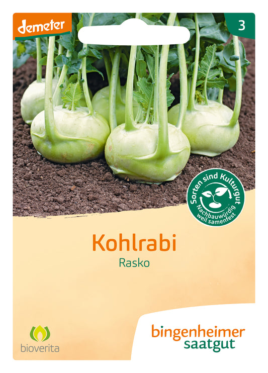 Artikelbild 1 von "BIO Kohlrabi Rasko" aus der Kategorie Kohlrabisamen