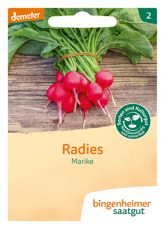 Artikelbild 1 von "BIO Radies Marike" aus der Kategorie Radieschensamen