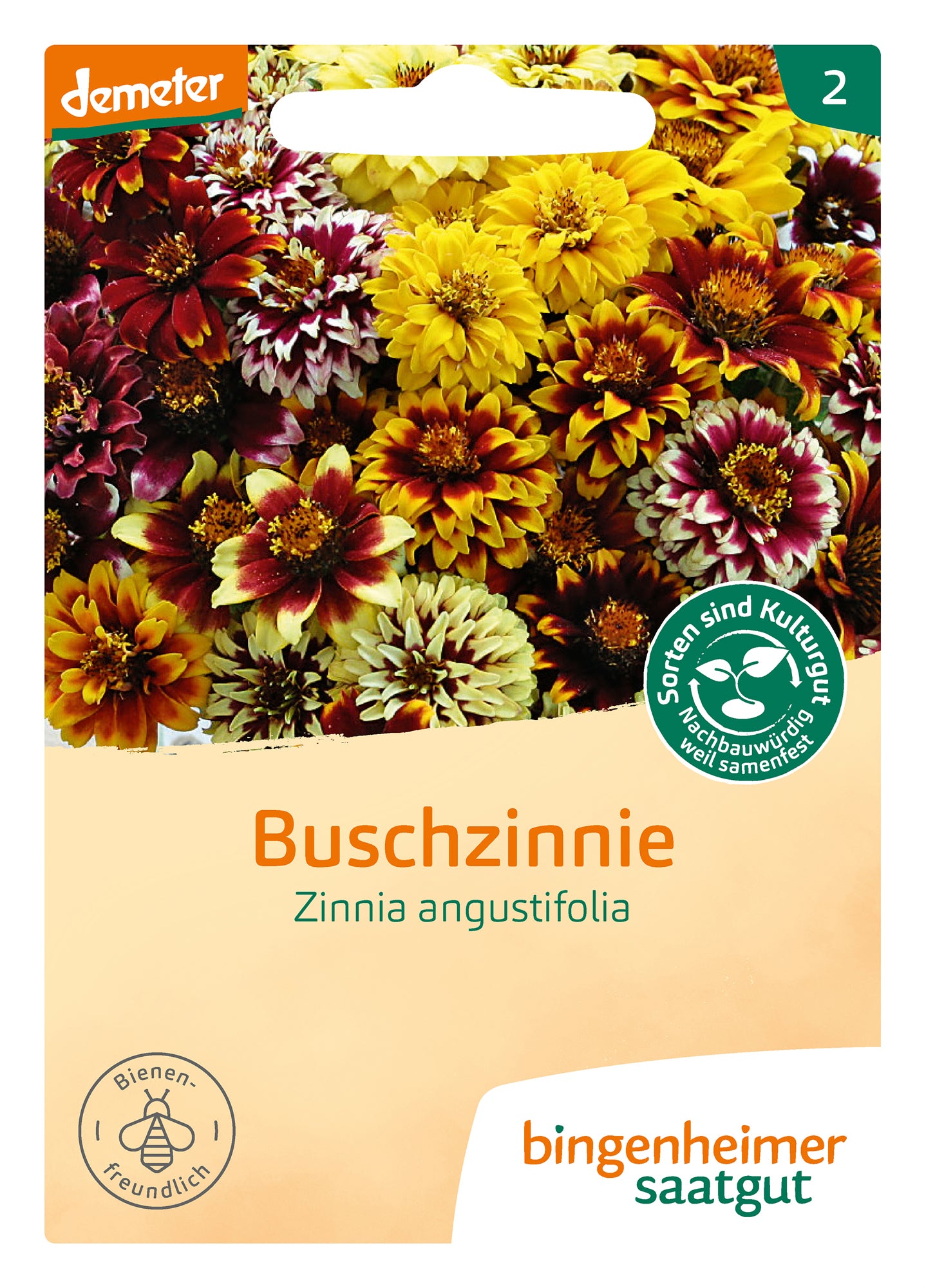 Artikelbild 1 von "BIO Buschzinnie" aus der Kategorie Zinniensamen