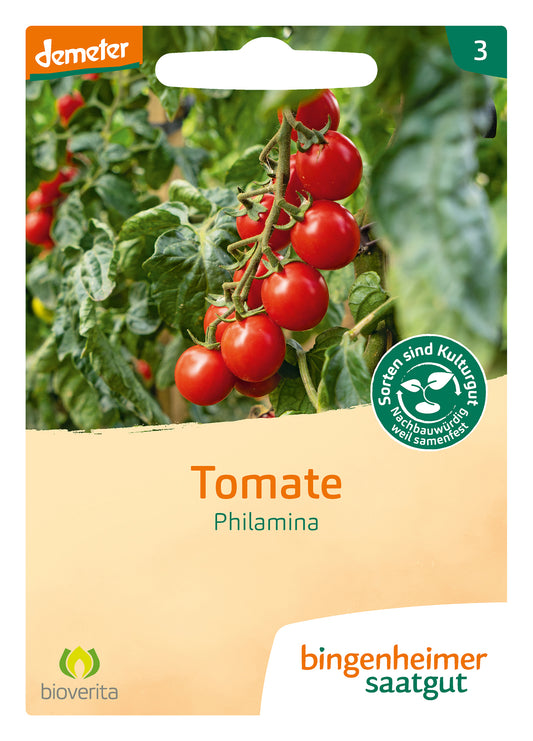 Artikelbild 1 von "BIO Tomate Philamina" aus der Kategorie Tomatensamen