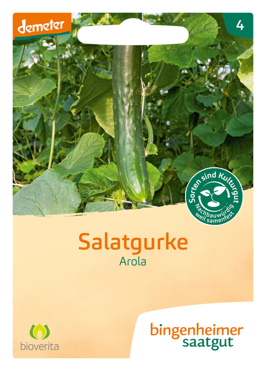 Artikelbild 1 von "BIO Salatgurke Arola" aus der Kategorie Salatgurkensamen