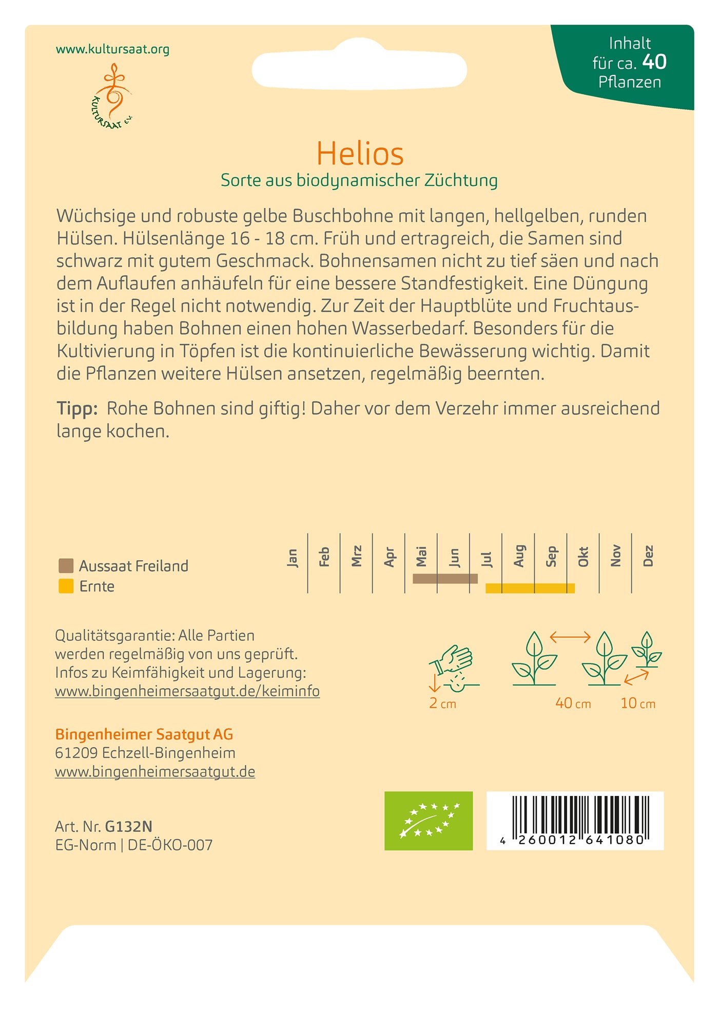 Artikelbild 2 von "BIO Buschbohne Helios" aus der Kategorie Buschbohnensamen