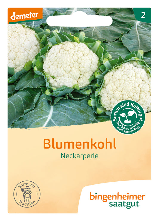 Artikelbild 1 von "BIO Blumenkohl Neckarperle" aus der Kategorie Blumenkohlsamen