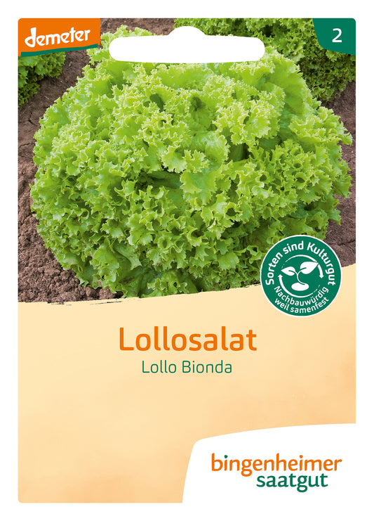 Artikelbild 1 von "BIO Lollosalat L. Bionda" aus der Kategorie Salatsamen
