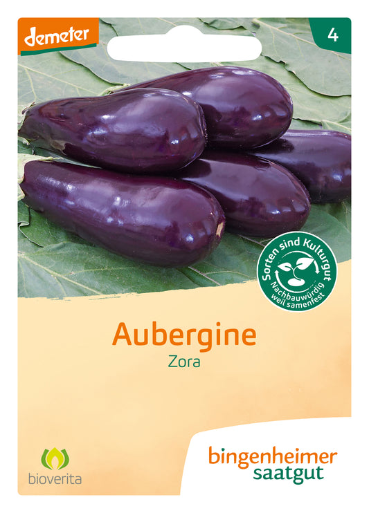 Artikelbild 1 von "BIO Aubergine Zora" aus der Kategorie Auberginensamen