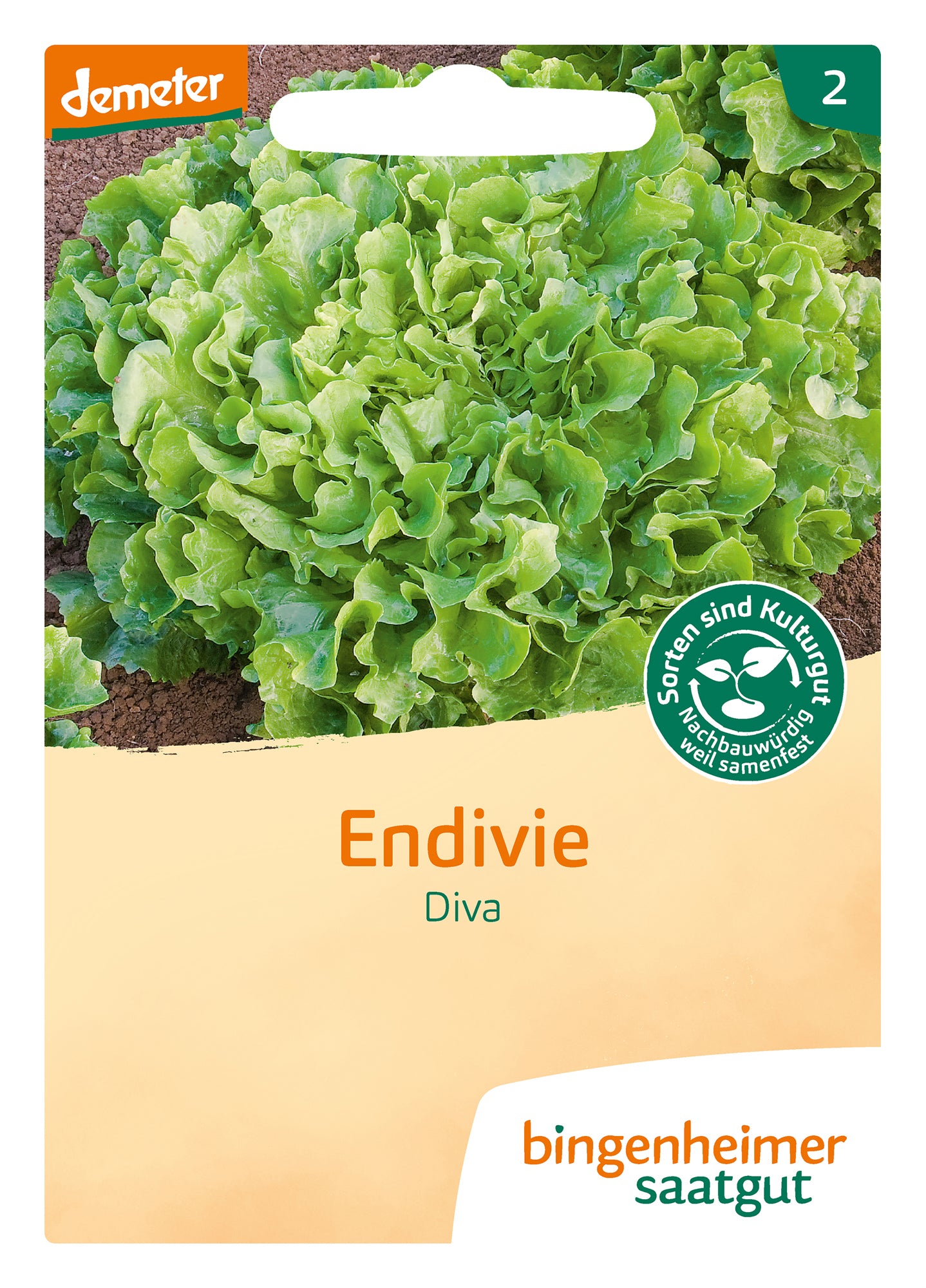 Artikelbild 1 von "BIO Endivie Diva" aus der Kategorie Endiviensalatsamen