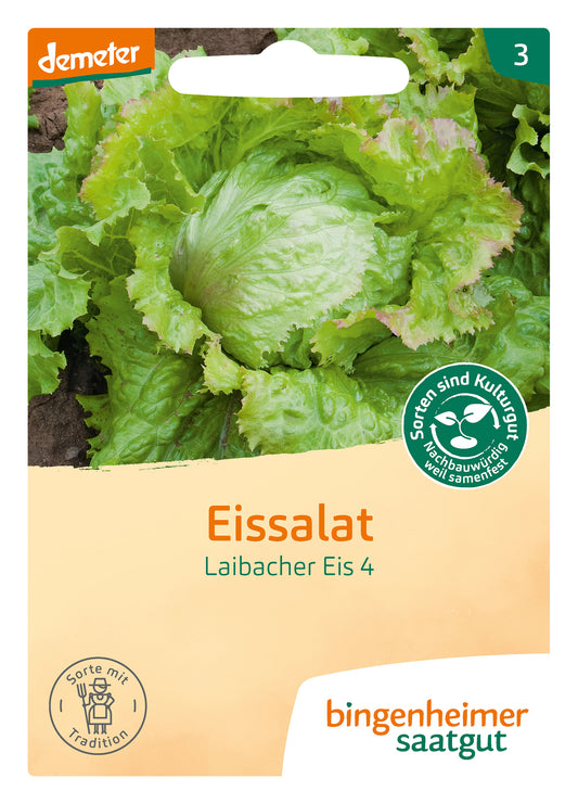 Artikelbild 1 von "BIO Eissalat Laibacher Eis" aus der Kategorie Eissalatsamen