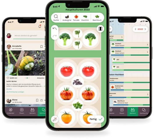 Super Fryd Lifetime-Abo Geschenkgutschein