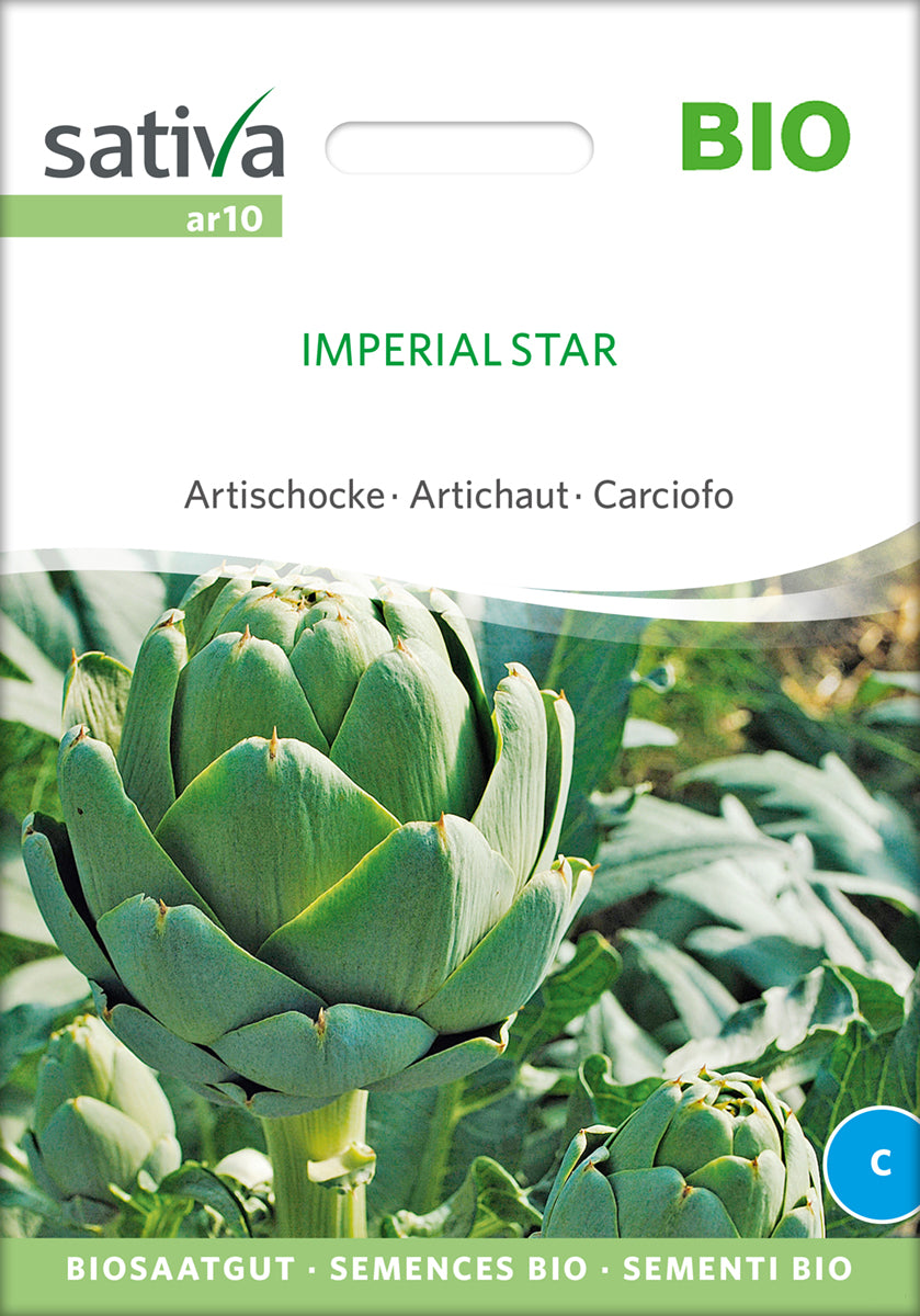 Artischocke Imperial Star | BIO Gemüsesamen von Sativa Rheinau