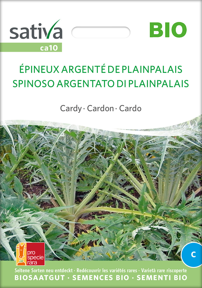 Cardy Epineux Argente De P.-Palais | BIO Blumensamen von Sativa Rheinau