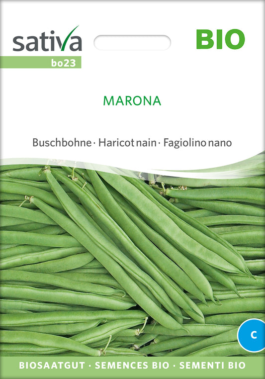 Buschbohne Marona | BIO Buschbohnensamen von Sativa Rheinau