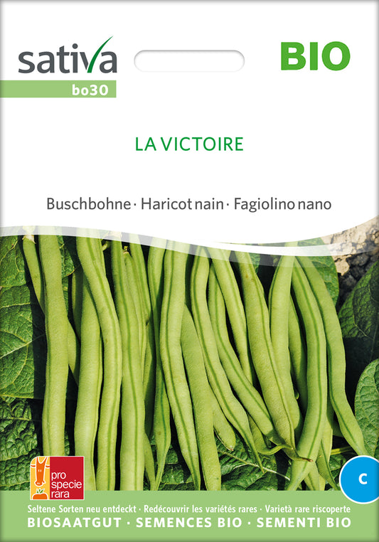 Buschbohne La Victoire | BIO Buschbohnensamen von Sativa Rheinau