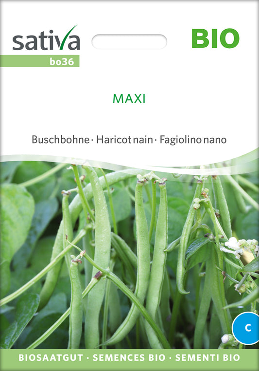 Buschbohne Maxi | BIO Buschbohnensamen von Sativa Rheinau