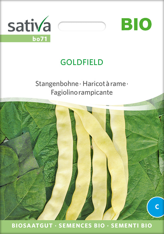 Stangenbohne Goldfield | BIO Stangenbohnensamen von Sativa Rheinau