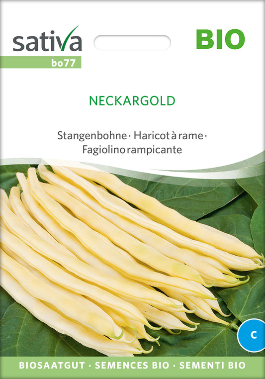 Stangenbohne Neckargold | BIO Stangenbohnensamen von Sativa Rheinau