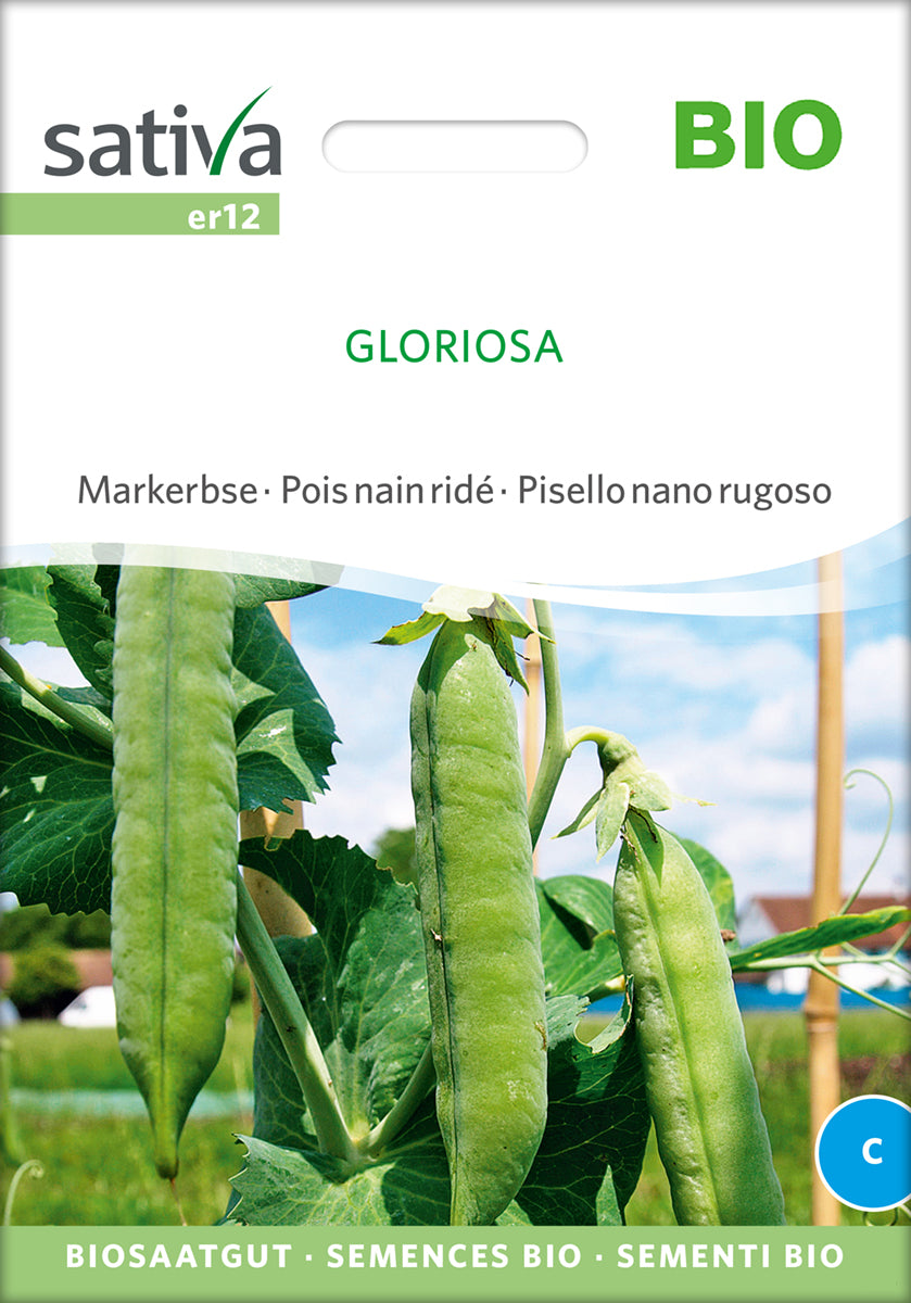 Markerbse Gloriosa | BIO Markerbsensamen von Sativa Rheinau