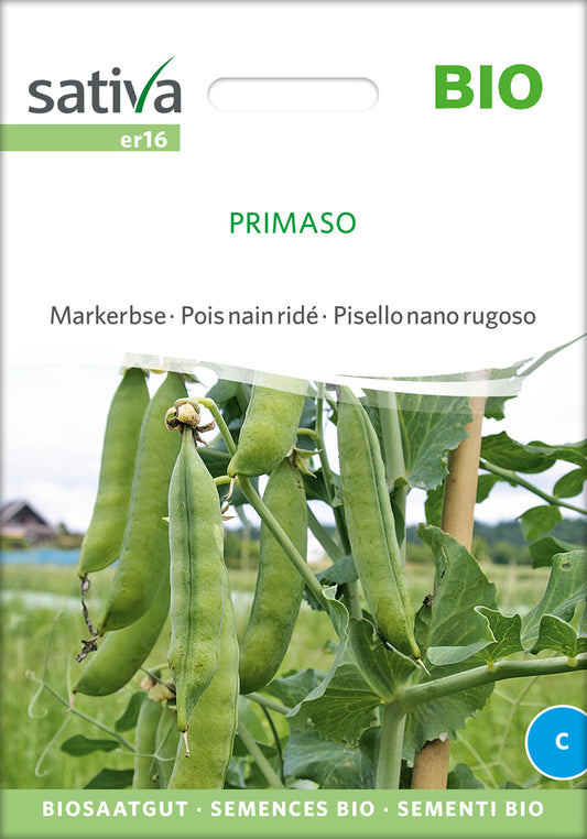 Markerbse Primaso | BIO Markerbsensamen von Sativa Rheinau