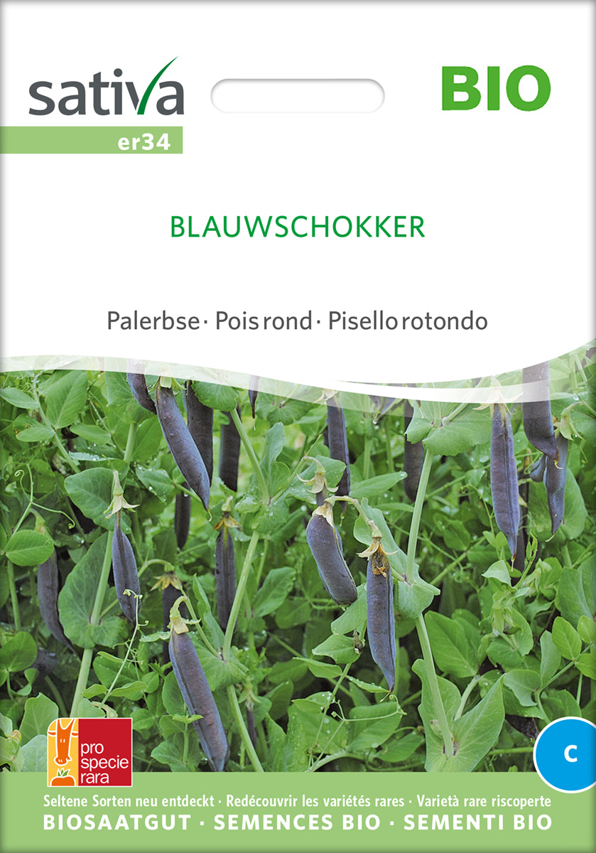 Palerbse Blauwschokker | BIO Erbsensamen von Sativa Rheinau