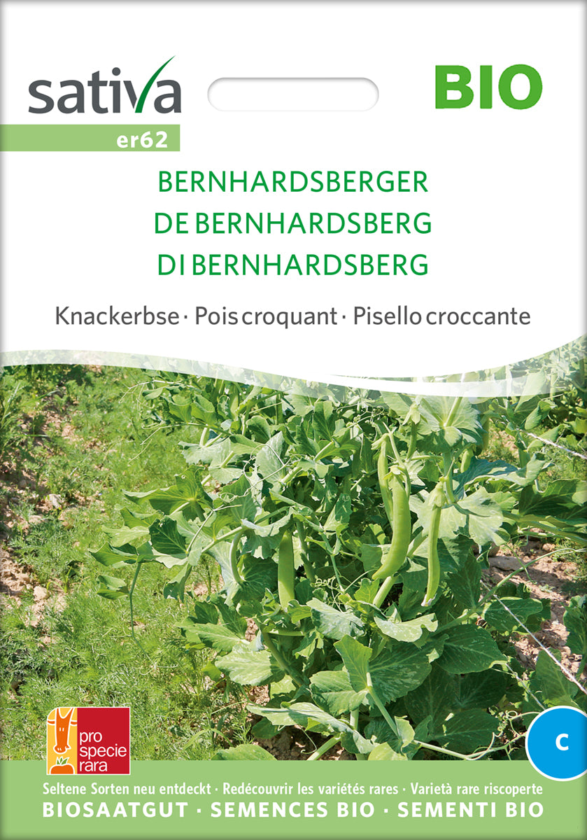 Knackerbse Bernhardsberger | BIO Erbsensamen von Sativa Rheinau