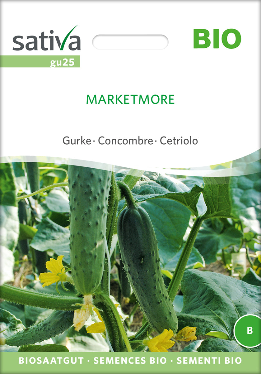 Gurke Marketmore | BIO Gurkensamen von Sativa Rheinau