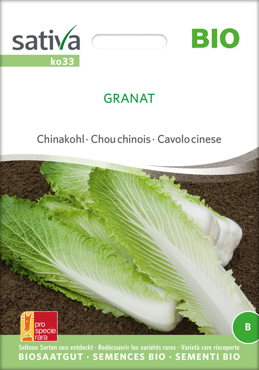 Chinakohl Granat | BIO Chinakohlsamen von Sativa Rheinau