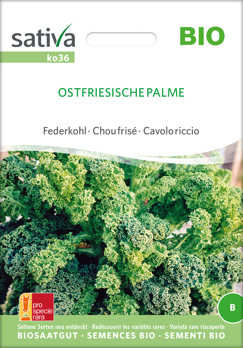 Federkohl / Grünkohl Ostfriesische Palme | BIO Grünkohlsamen von Sativa Rheinau