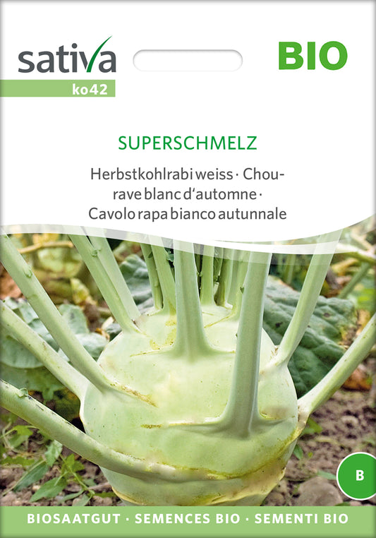 Herbstkohlrabi weiss Superschmelz | BIO Kohlrabisamen von Sativa Rheinau